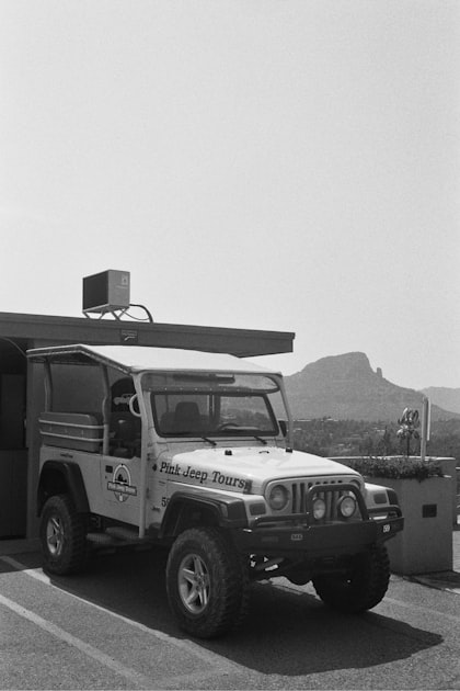Seamless Airport Transfers with TARZAN TOURS